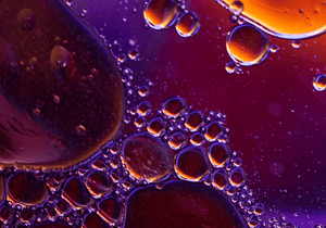 Acai Berry Fruit Extract